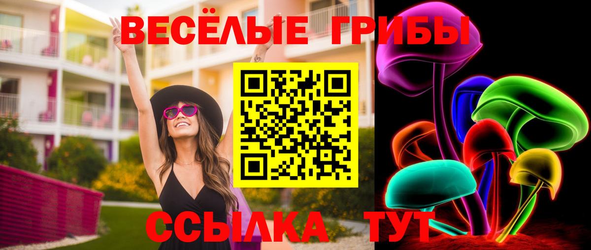 Псилоцибиновые грибы прущие грибы Губкинский